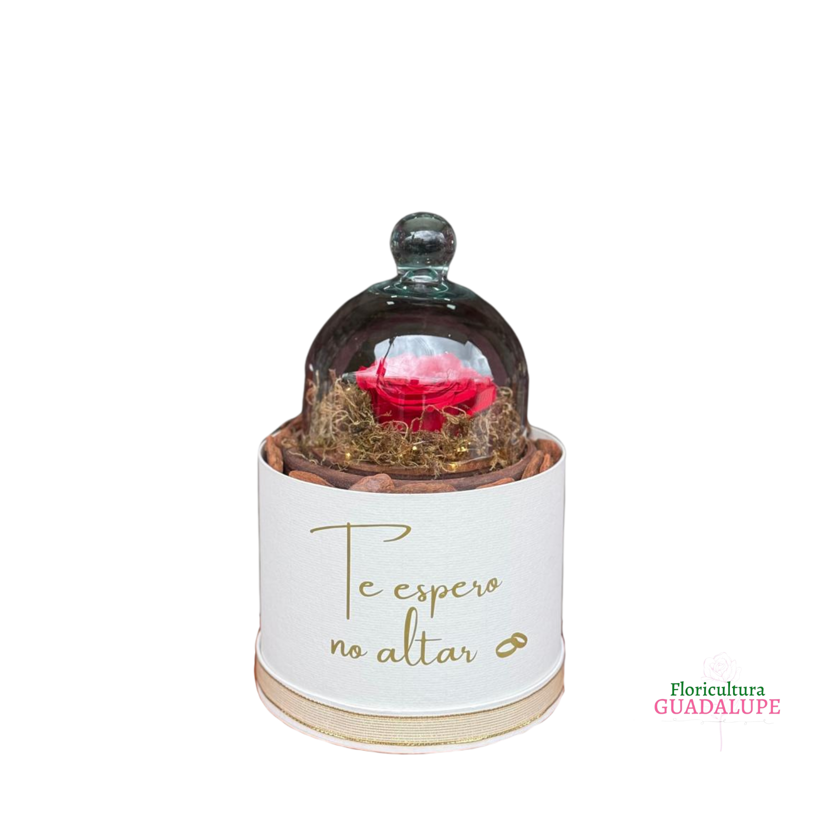 Rosa Eterna - A Bela e a Fera