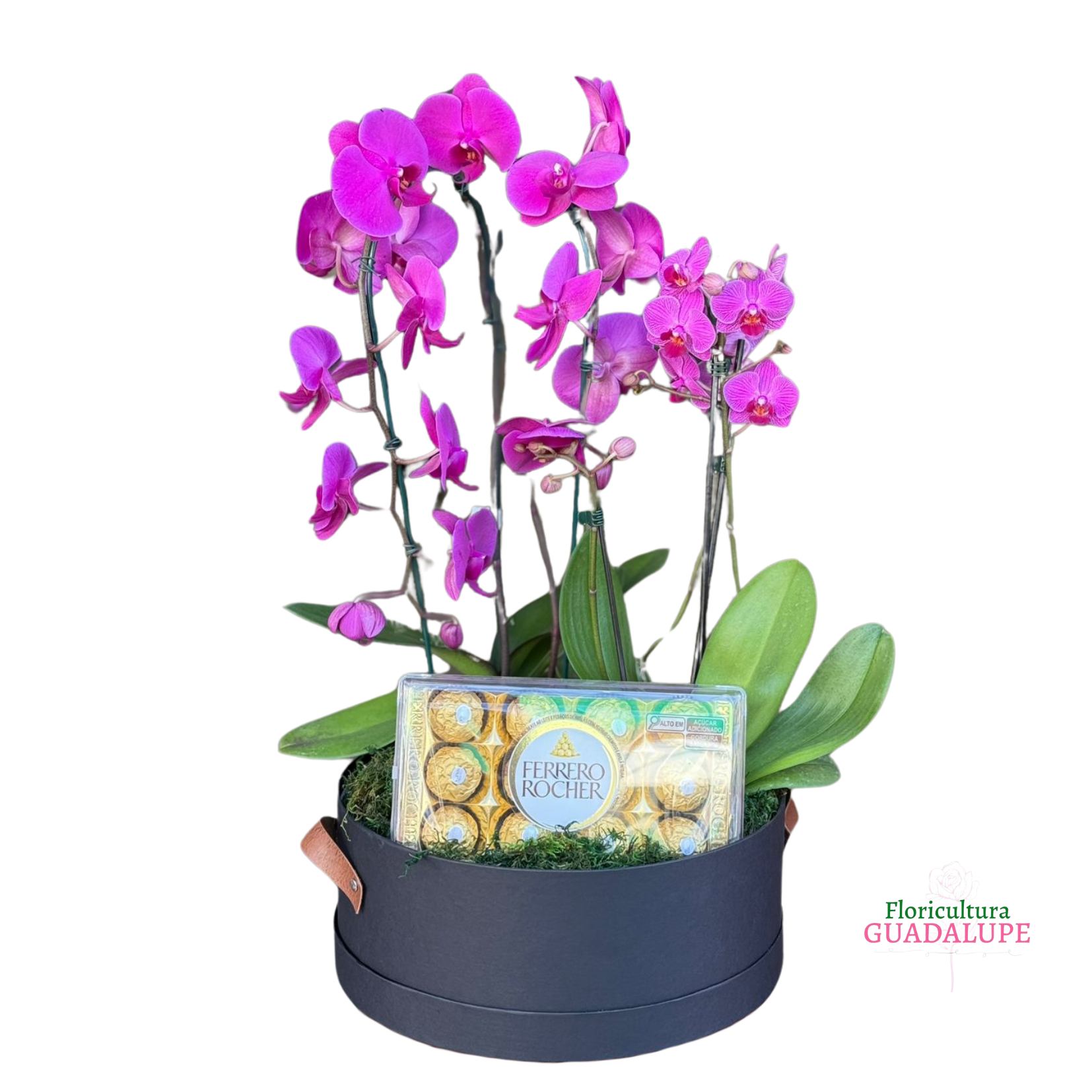 Arranjo de Orqu�deas - Ferrero Edition