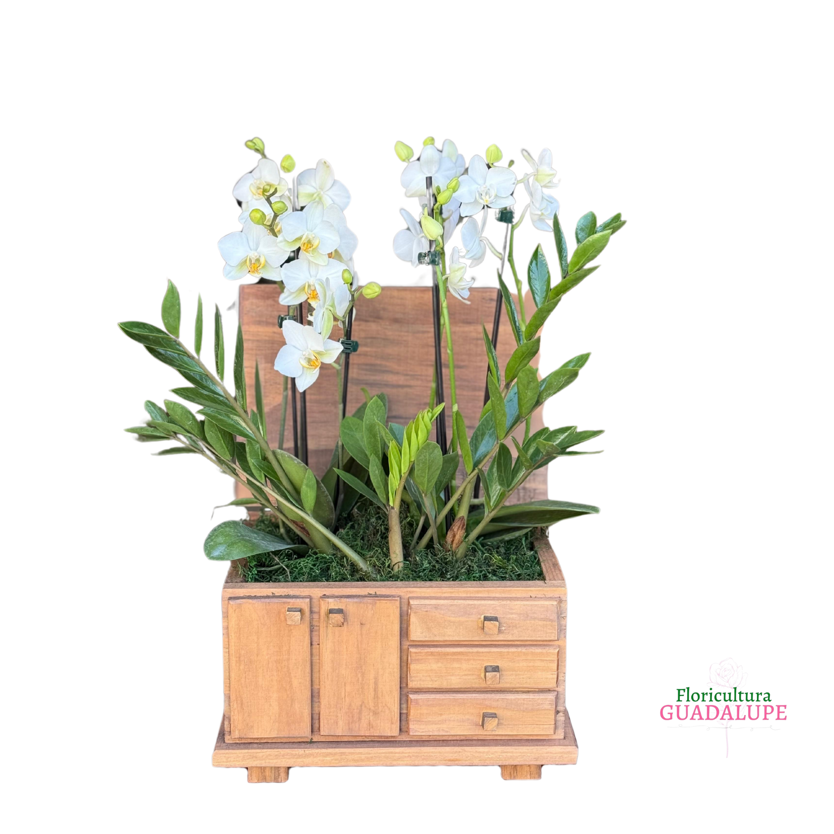 Arranjo de Mini Orqu�deas - Ba� R�stico 