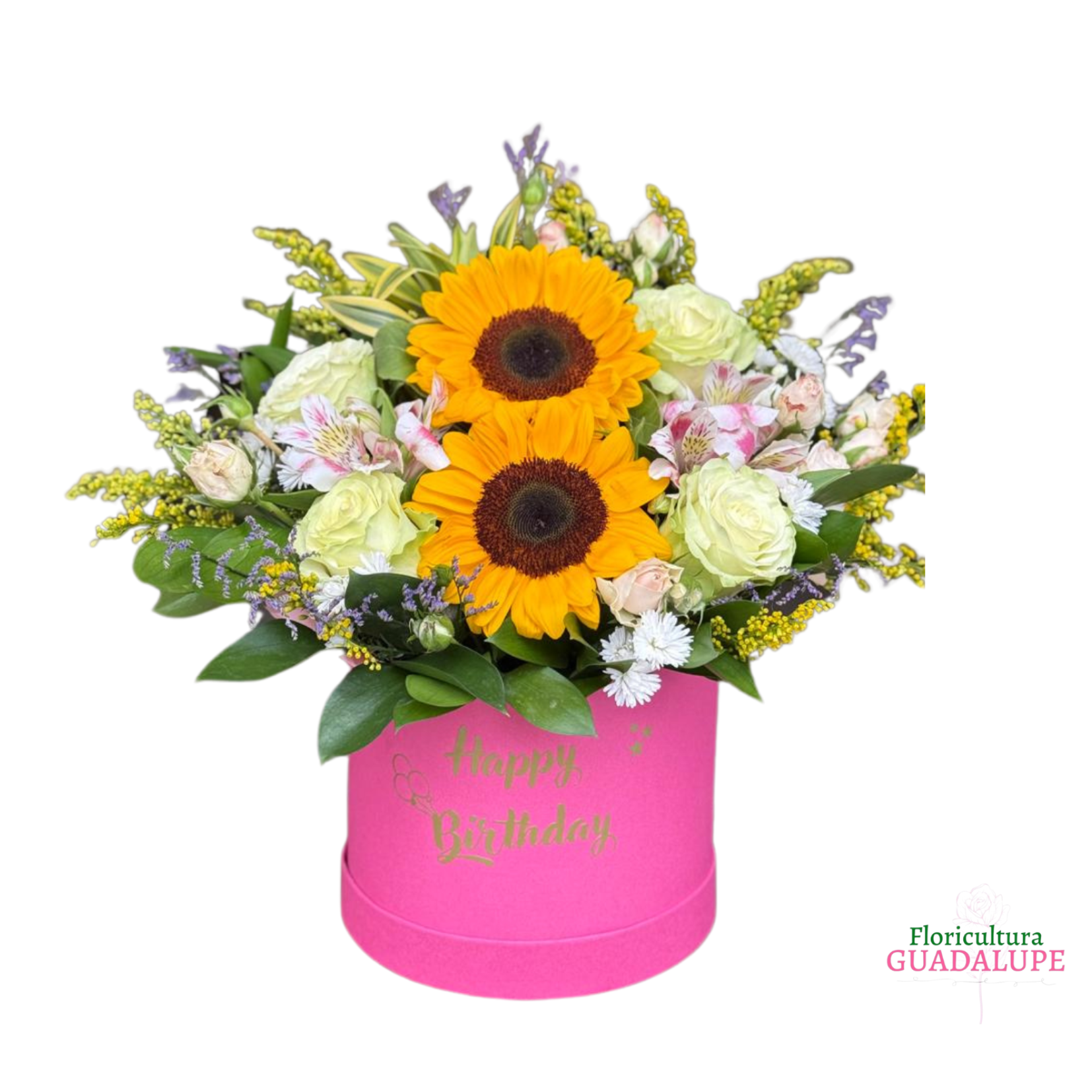 Anivers�rio & Felicita��es